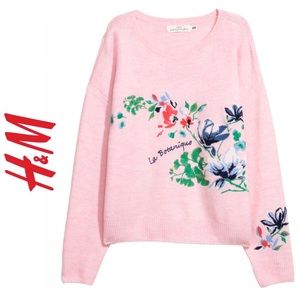 la botanique blush sweater 🌸 (botanical garden)
